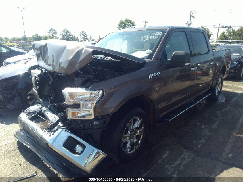 2015 FORD F-150 XLT/XL - 1FTEW1C88FKD70489
