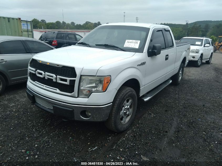 2013 FORD F-150 XL/STX/XLT/FX4/LARIAT - 1FTFX1EF3DFB84376