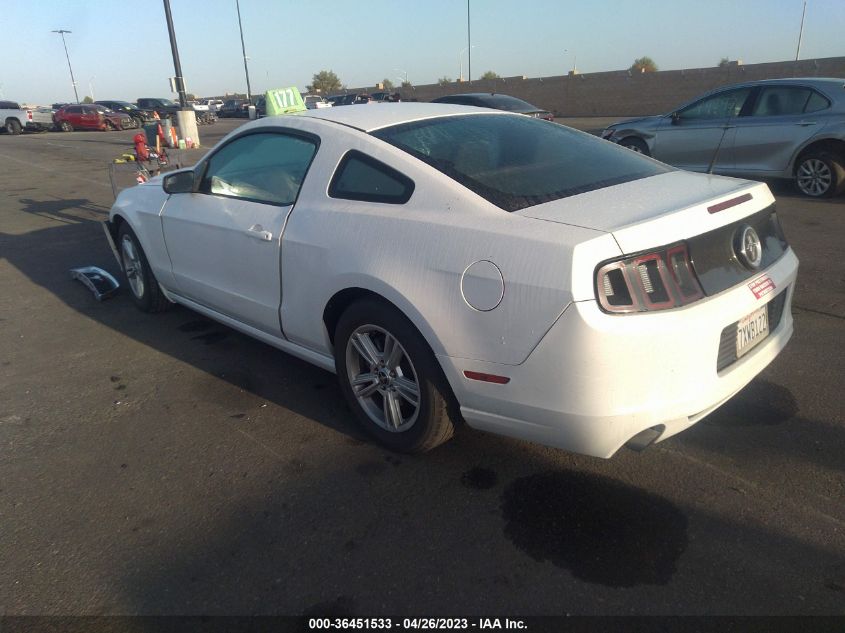 2014 FORD MUSTANG V6 - 1ZVBP8AM1E5306944