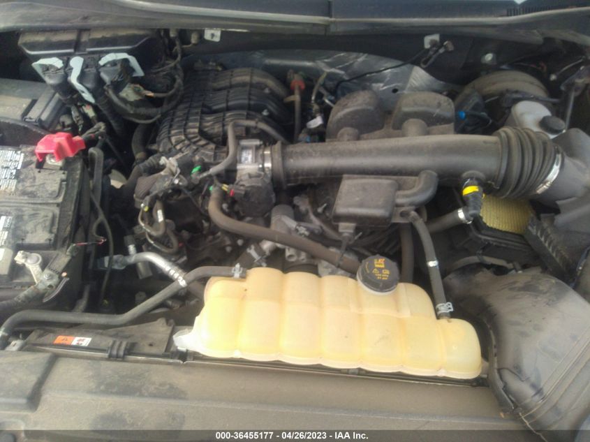2019 FORD F-150 XL/XLT - 1FTEX1EB8KKD35872
