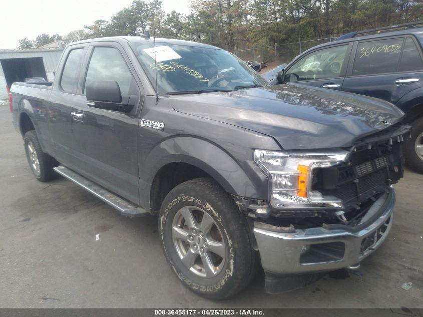 2019 FORD F-150 XL/XLT - 1FTEX1EB8KKD35872