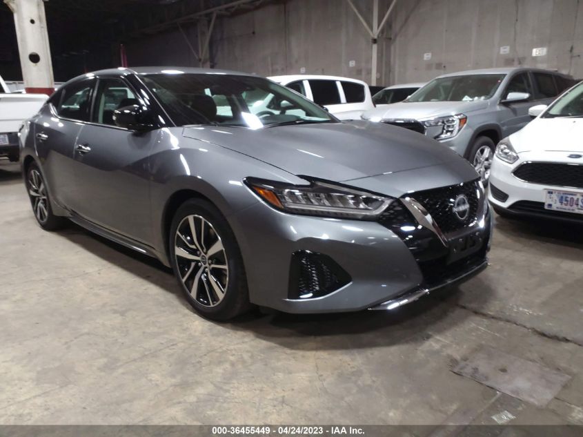 2023 NISSAN MAXIMA SV - 1N4AA6CV8PC507321