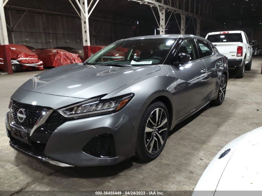2023 NISSAN MAXIMA SV - 1N4AA6CV8PC507321