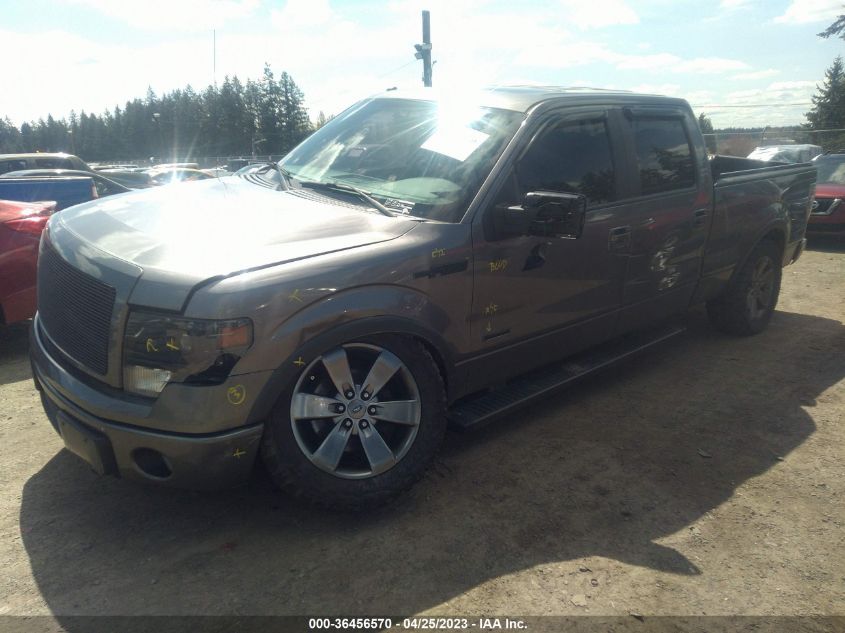 2014 FORD F-150 XL/XLT/FX4/LARIAT - 1FTFW1ET2EKF76542