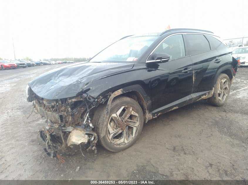 VIN 5NMJECAE0PH195576 2023 HYUNDAI TUCSON LIMITED