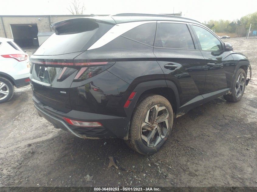 VIN 5NMJECAE0PH195576 2023 HYUNDAI TUCSON LIMITED