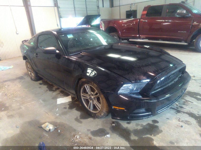 2014 FORD MUSTANG V6 - 1ZVBP8AM9E5209264