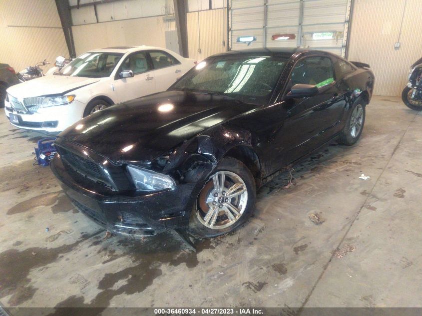 2014 FORD MUSTANG V6 - 1ZVBP8AM9E5209264