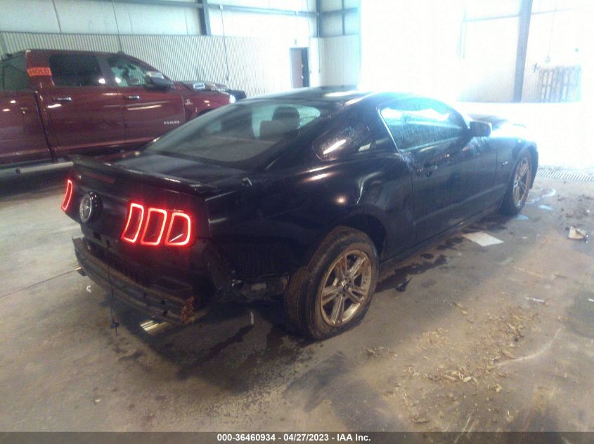 2014 FORD MUSTANG V6 - 1ZVBP8AM9E5209264