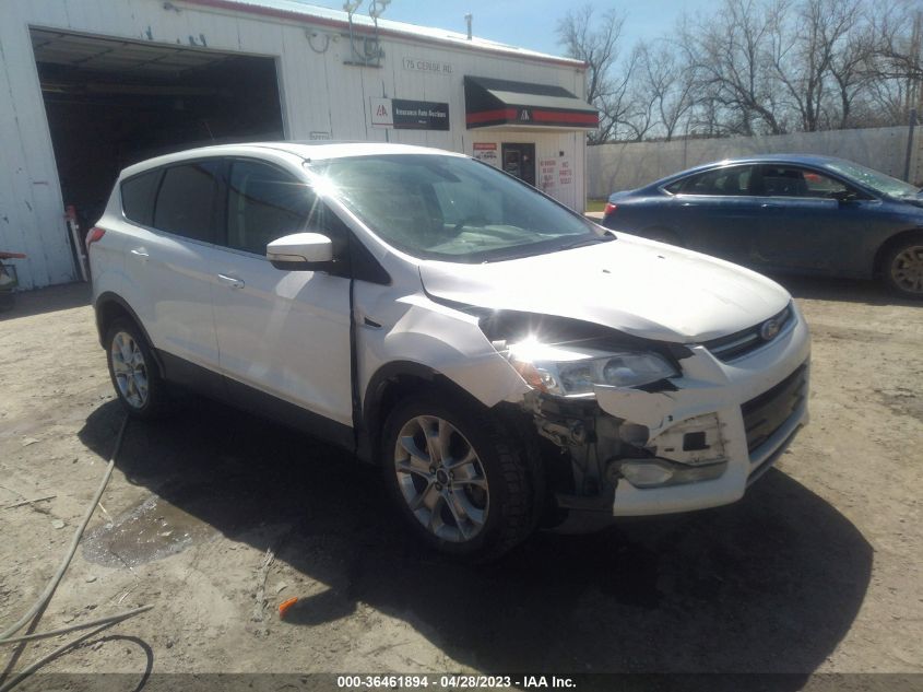 2013 FORD ESCAPE SEL - 1FMCU9H94DUD57491