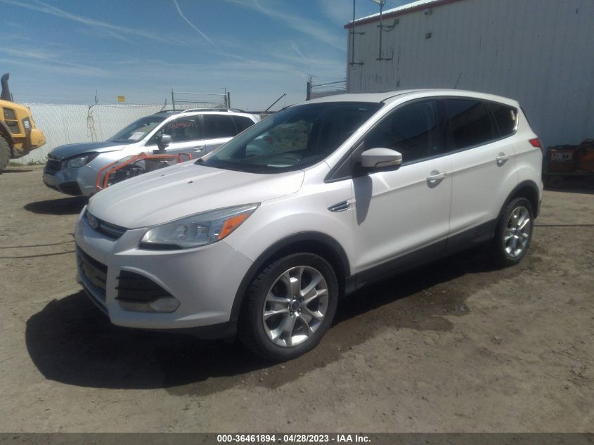 2013 FORD ESCAPE SEL - 1FMCU9H94DUD57491