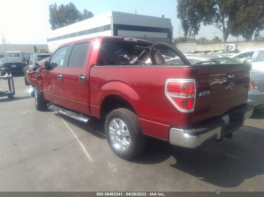 2013 FORD F-150 XL/XLT - 1FTEW1CM6DKG52169