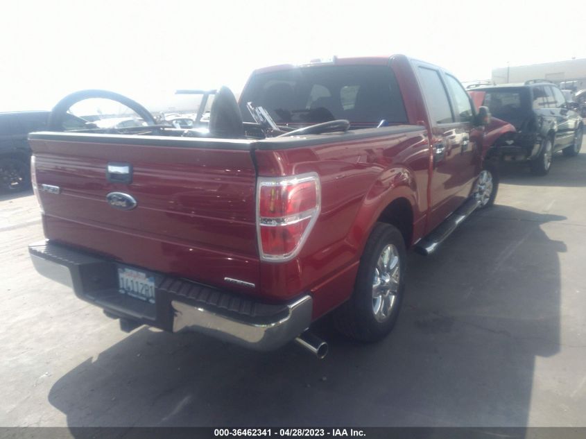 2013 FORD F-150 XL/XLT - 1FTEW1CM6DKG52169