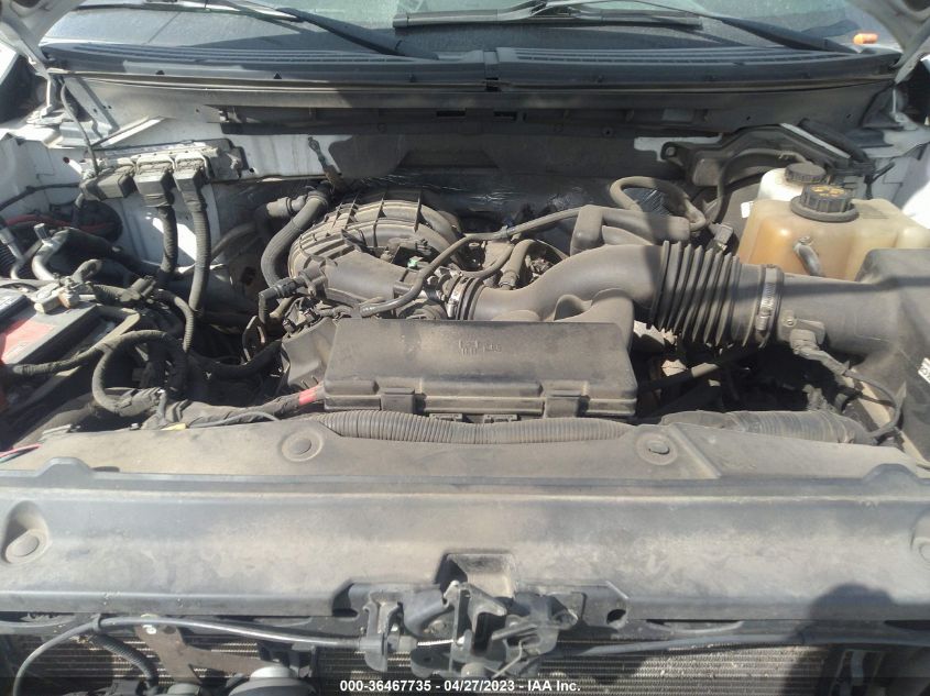 2013 FORD F-150 XL/STX/XLT - 1FTMF1EM2DFA39967