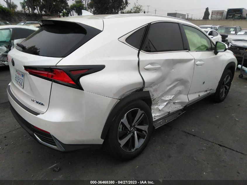 2021 LEXUS NX NX 300H - JTJGJRDZ7M5011687