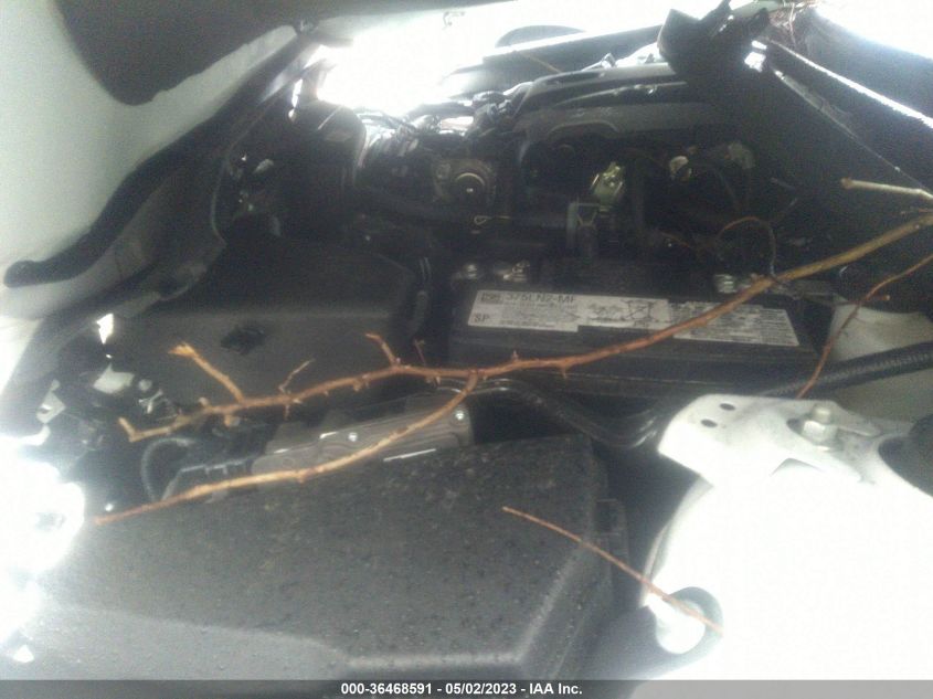 2021 TOYOTA CAMRY SE - 4T1G11AK9MU614878