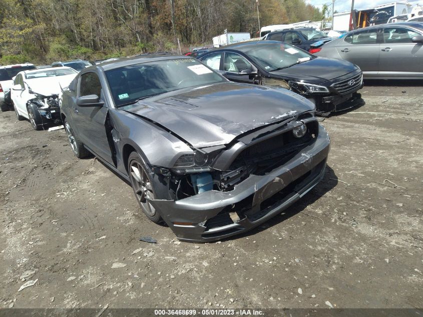 2013 FORD MUSTANG GT - 1ZVBP8CF0D5244563