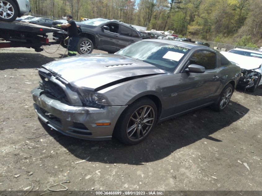 2013 FORD MUSTANG GT - 1ZVBP8CF0D5244563