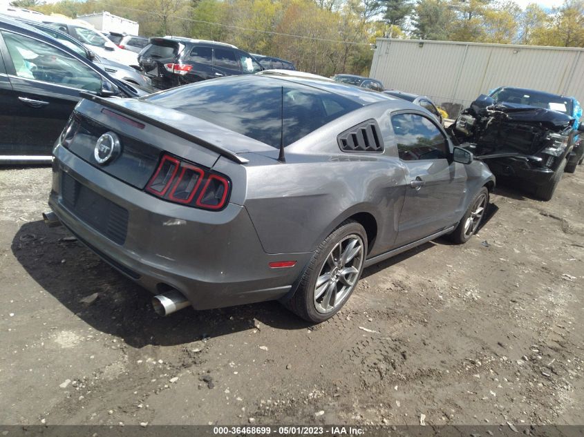 2013 FORD MUSTANG GT - 1ZVBP8CF0D5244563