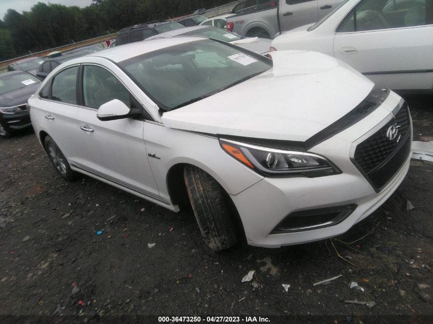 2016 HYUNDAI SONATA HYBRID SE - KMHE24L14GA011644