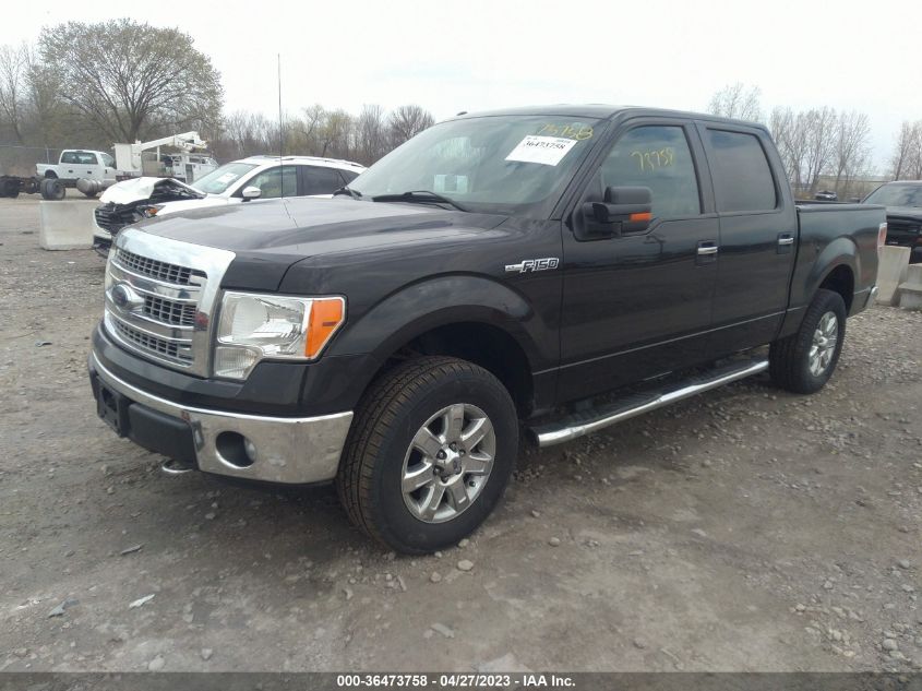 2013 FORD F-150 XL/XLT/FX4/LARIAT - 1FTFW1EF5DFC83512