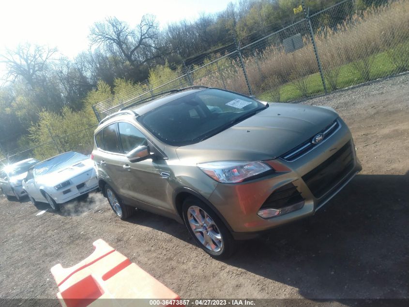 2013 FORD ESCAPE SEL - 1FMCU9H95DUB13560