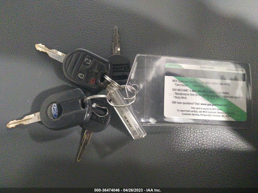 2013 FORD SUPER DUTY F-250 SRW XL/XLT - 1FDBF2A61DEB79904