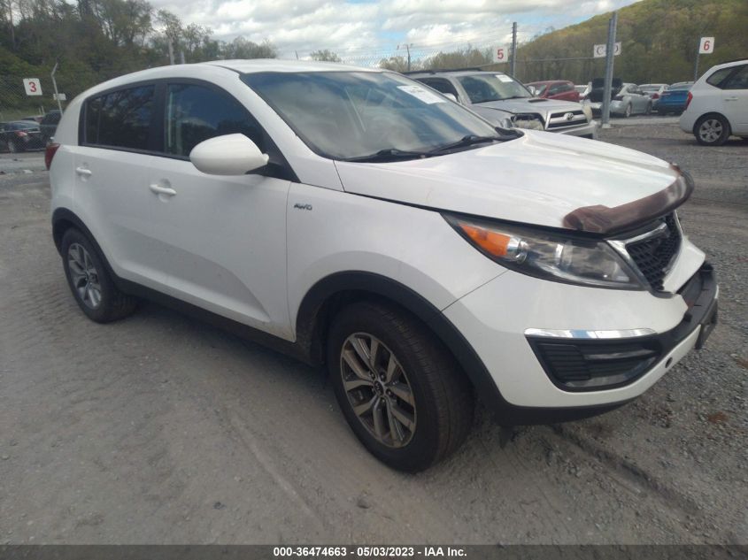 2016 KIA SPORTAGE LX - KNDPBCAC0G7865958
