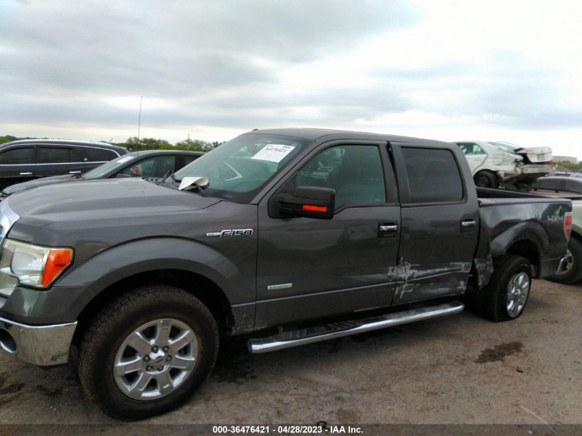 2013 FORD F-150 XL/XLT/FX4/LARIAT - 1FTFW1ET9DKE60818