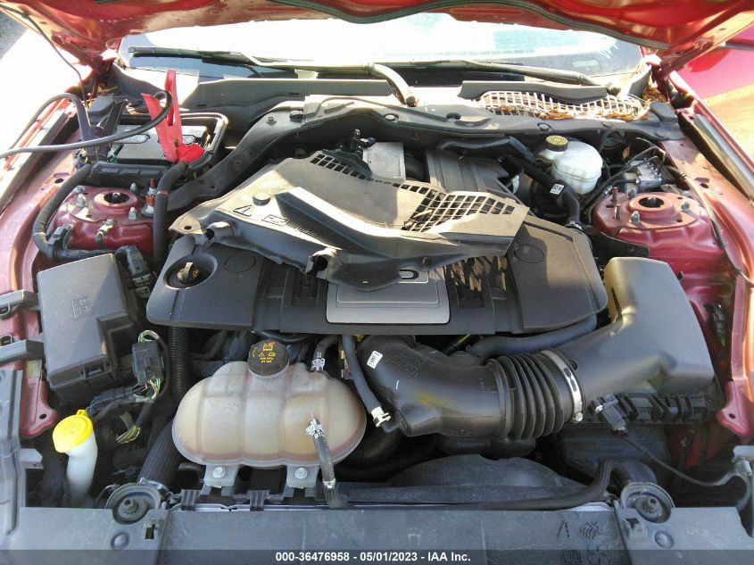 2019 FORD MUSTANG GT - 1FA6P8CF8K5129684