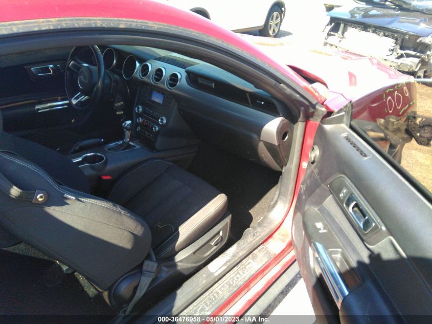 2019 FORD MUSTANG GT - 1FA6P8CF8K5129684