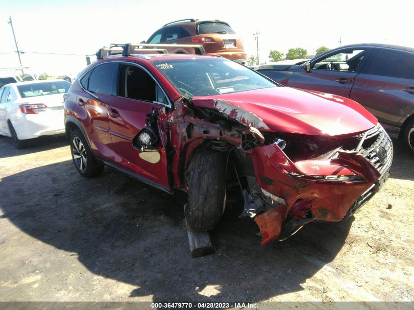 2019 LEXUS NX NX 300 - JTJBARBZ0K2196662