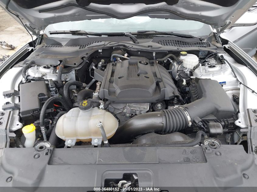 2019 FORD MUSTANG ECOBOOST - 1FA6P8TH8K5118847