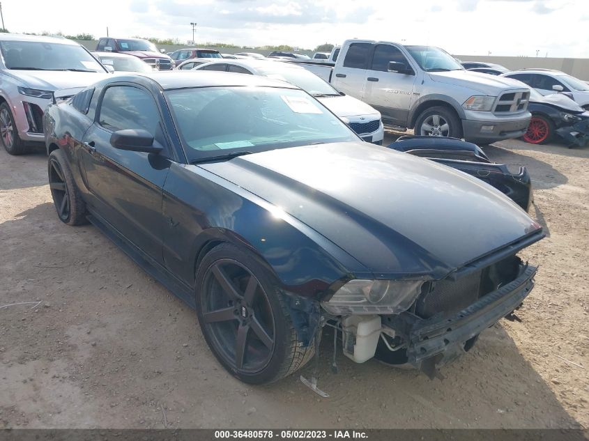 2013 FORD MUSTANG V6 - 1ZVBP8AM6D5247193