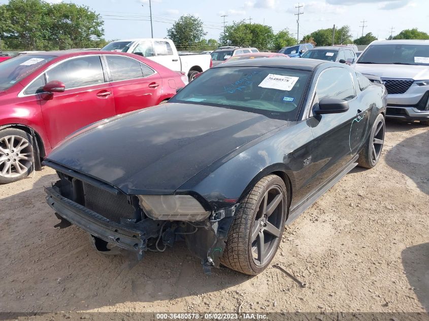 2013 FORD MUSTANG V6 - 1ZVBP8AM6D5247193