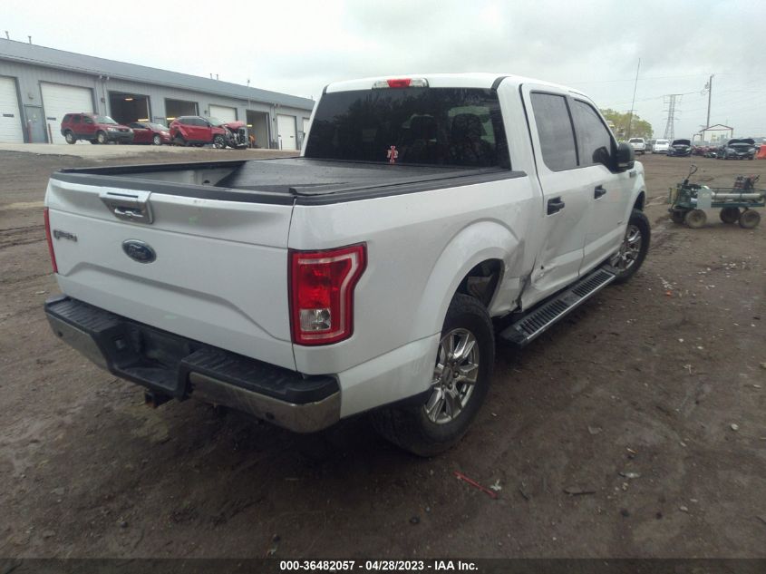 2015 FORD F-150 XL/LARIAT/XLT - 1FTEW1CP2FKE24845