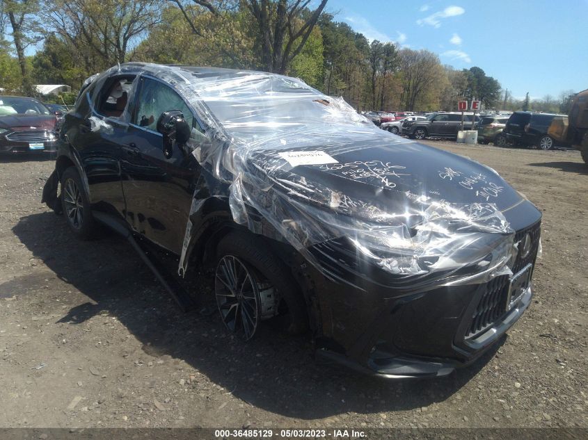 2T2AGCEZXPC021975 LEXUS NX NX 350 2023