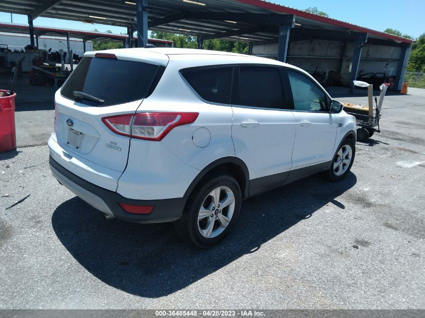 2014 FORD ESCAPE SE - 1FMCU0GX3EUC97930