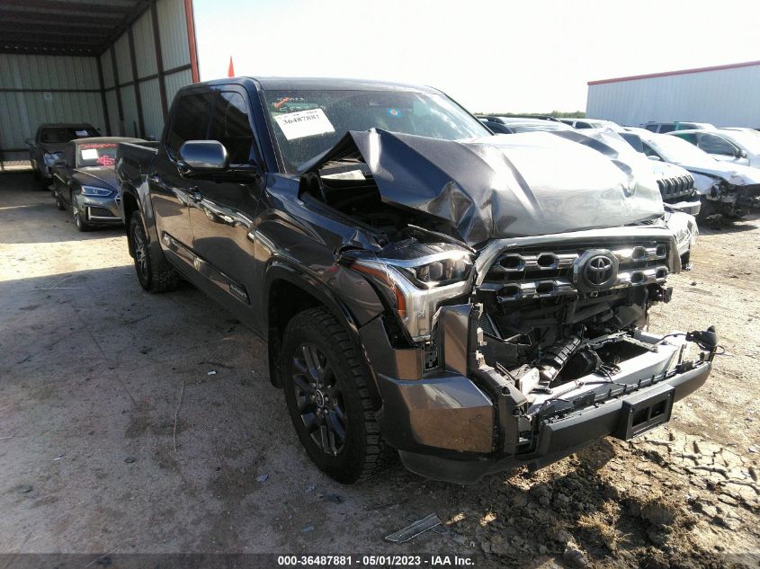 2022 TOYOTA TUNDRA 4WD PLATINUM - 5TFNA5DB0NX010862