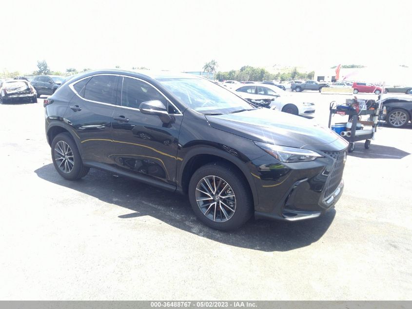 2T2ADCAZXPC005242 LEXUS NX NX 250 2023