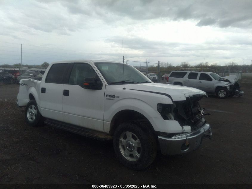 2014 FORD F-150 XL/XLT/FX4/LARIAT - 1FTFW1ET1EKD26757