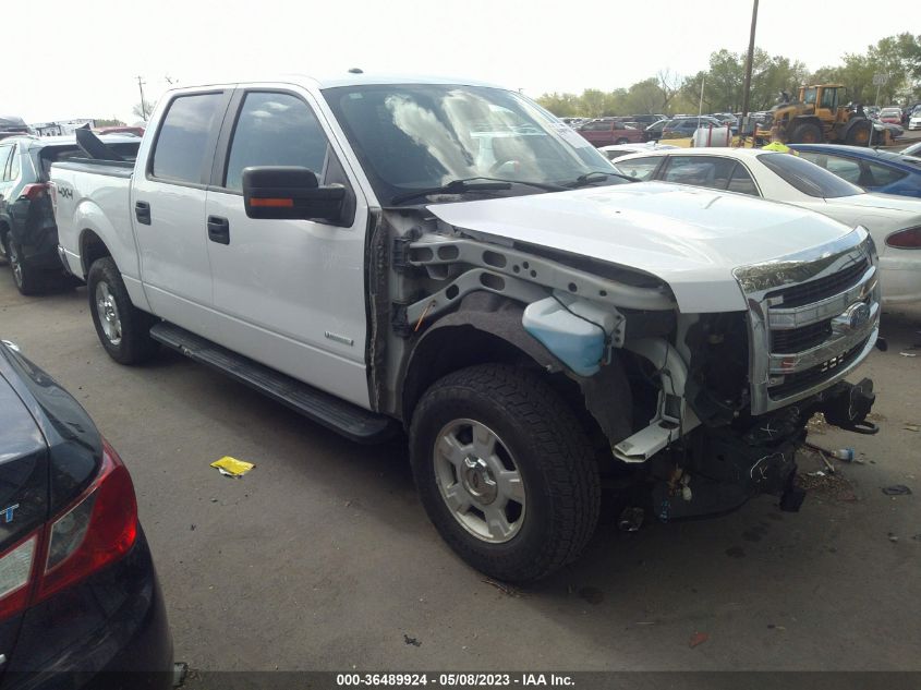 2014 FORD F-150 XL/XLT/FX4/LARIAT - 1FTFW1ET9EKD92831