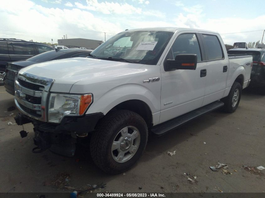 2014 FORD F-150 XL/XLT/FX4/LARIAT - 1FTFW1ET9EKD92831