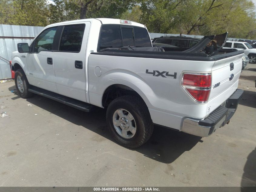 2014 FORD F-150 XL/XLT/FX4/LARIAT - 1FTFW1ET9EKD92831