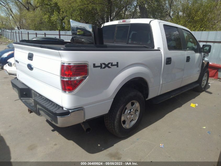 2014 FORD F-150 XL/XLT/FX4/LARIAT - 1FTFW1ET9EKD92831