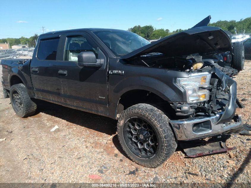 2015 FORD F-150 XLT/XL/LARIAT/PLATINUM - 1FTEW1EG5FFC73005