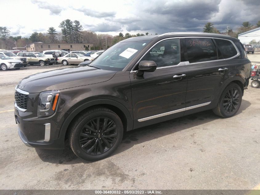 2022 KIA TELLURIDE SX - 5XYP5DHC3NG230333
