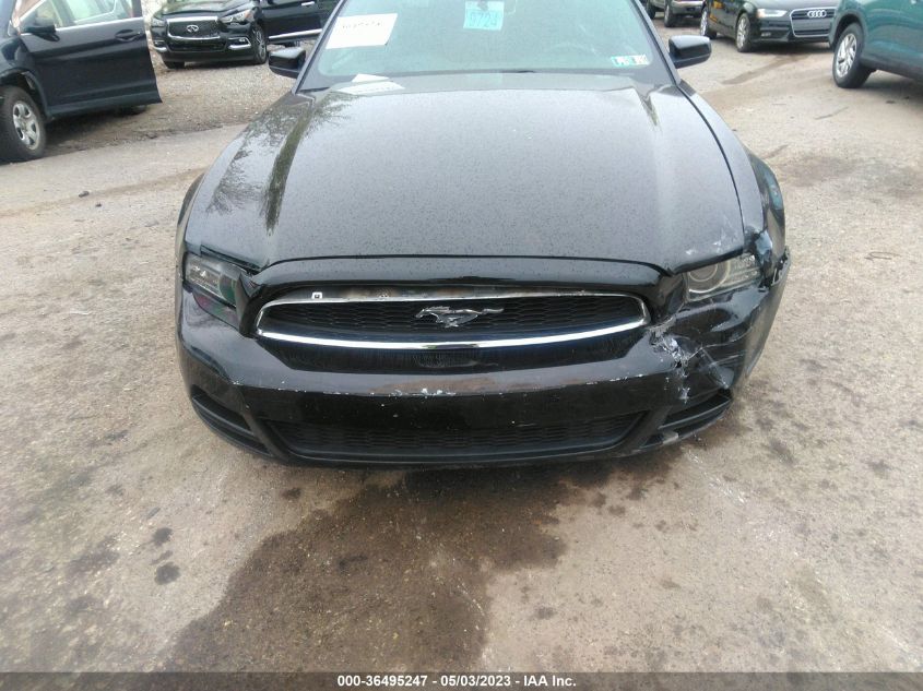 2014 FORD MUSTANG V6 - 1ZVBP8AM5E5260597