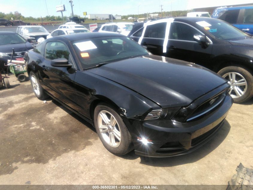 2014 FORD MUSTANG V6 - 1ZVBP8AM0E5332466