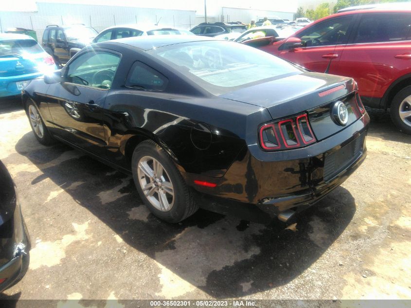 2014 FORD MUSTANG V6 - 1ZVBP8AM0E5332466